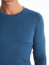 LC Waikiki Crew Neck Long Sleeve Combed Cotton Men's T-shirt